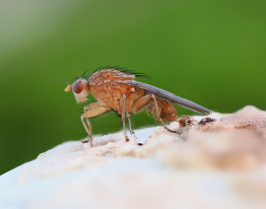 2024-10-25 17-57-02 x20_DxO-2000.jpg