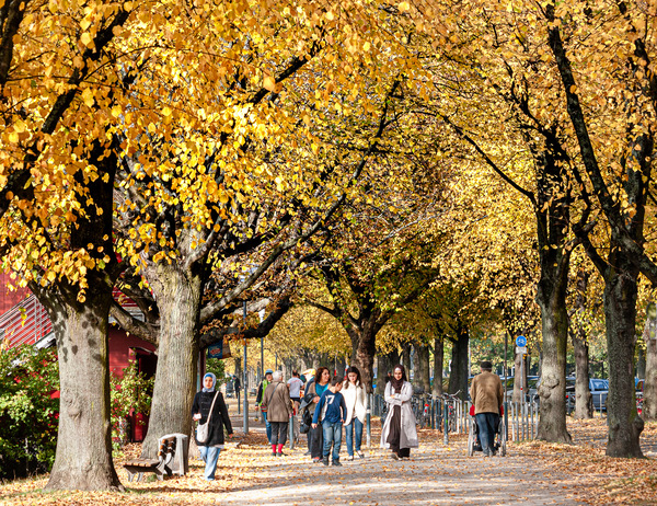 Goldener Oktober