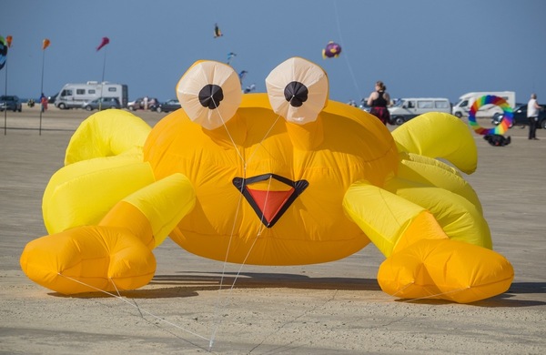smiling crab