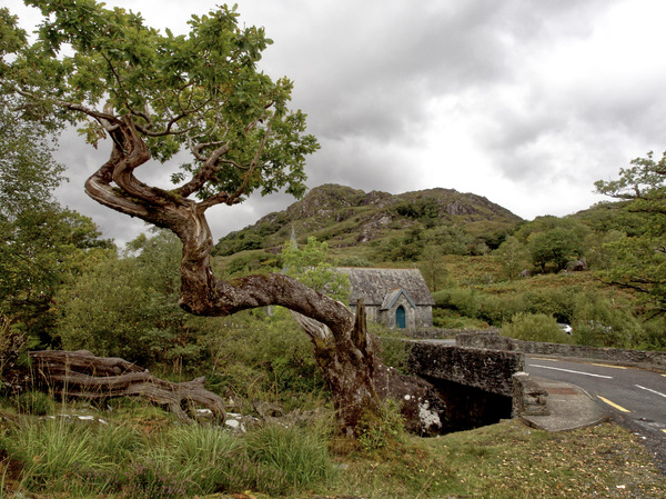 Auf dem Ring of Kerry, bei Killarney.
