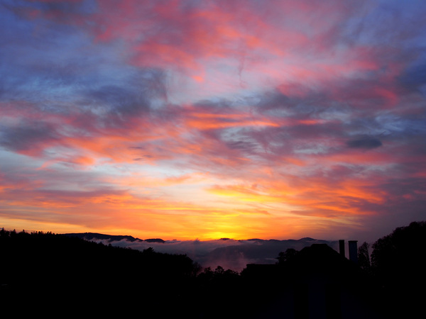Blick aus dem Küchenfenster 4