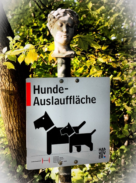 Fundstück an der Hundeauslauffläche ...