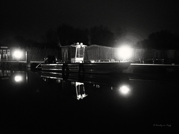 Lieblingsbild November 2024 "Hafenstimmung"