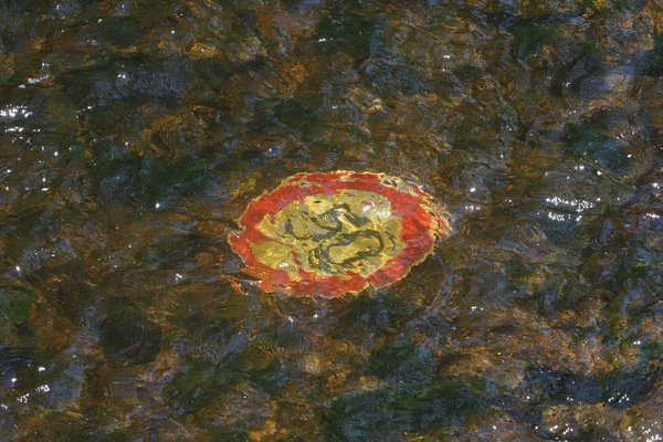 Auch unter Wasser...