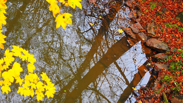 Spiegelung