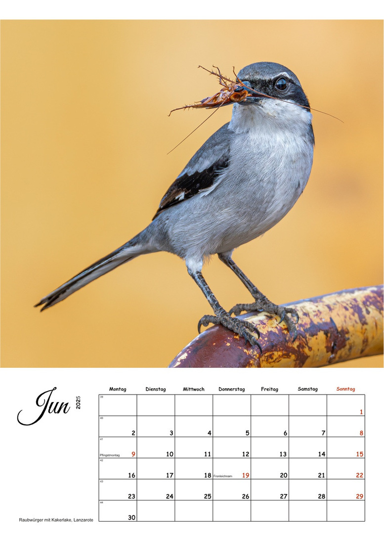 Kalender 2025-Seite007.jpg