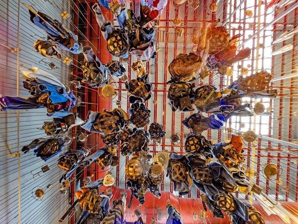 Hang higher work.jpg