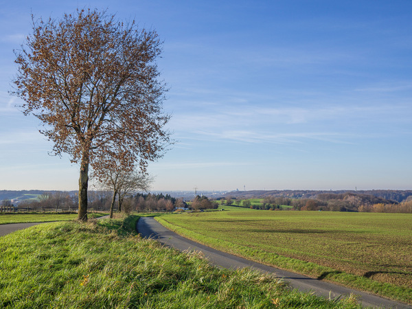 Spätherbst