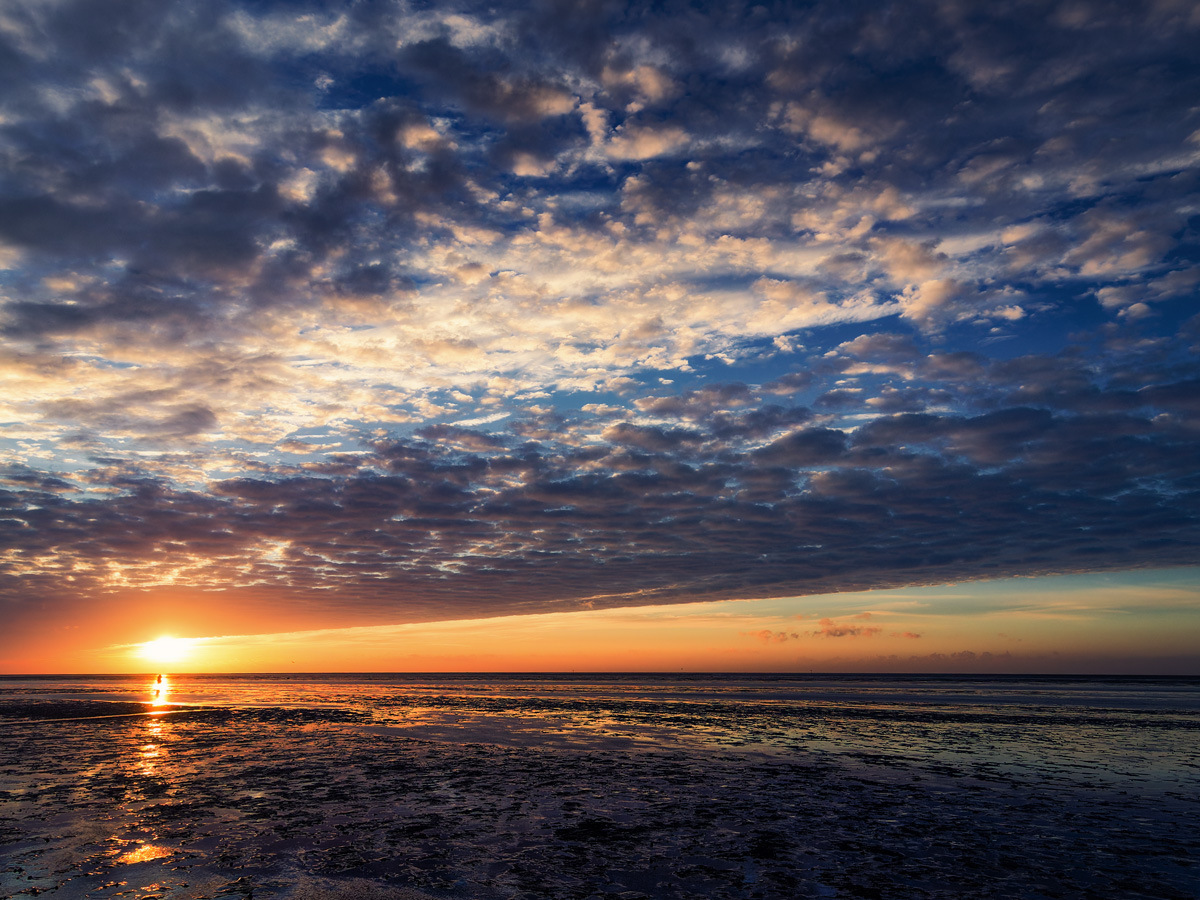 large.PA190106_px1200.jpg.c4ef01f510e67a