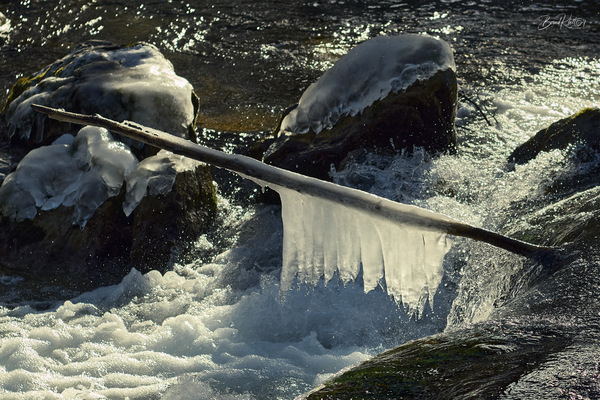 Winter is coming_ii.jpg