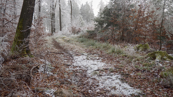 Spaziergang
