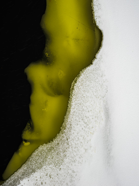 Grün(w)eis