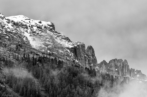 Blick auf den Rosengarten....