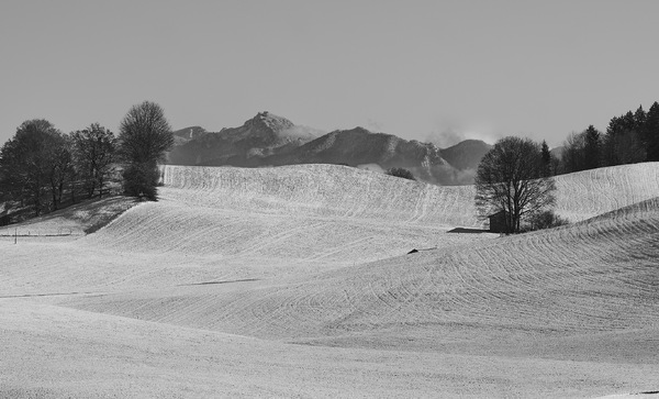 Winterlandschaft...