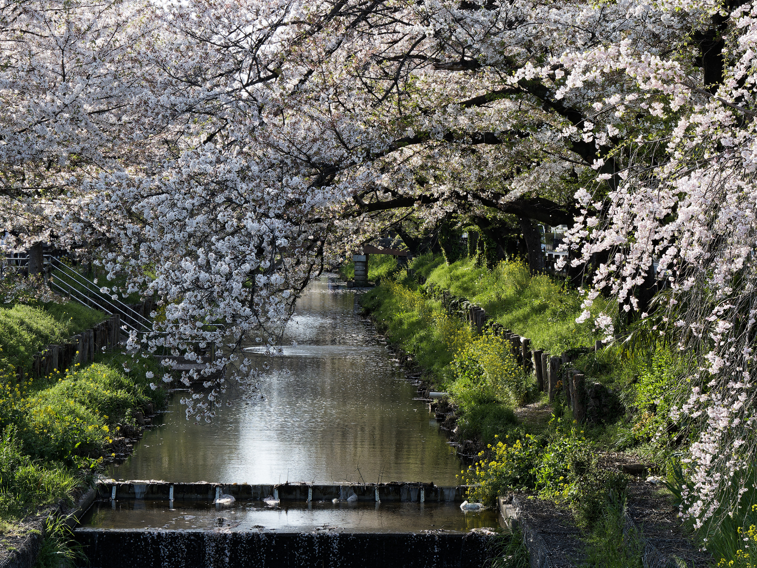 Impressionen aus Japan