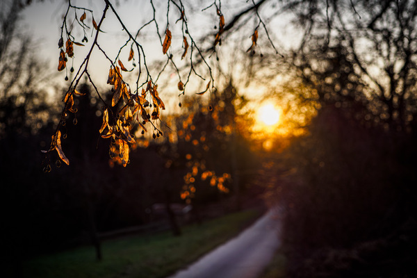 Goldener Moment ...