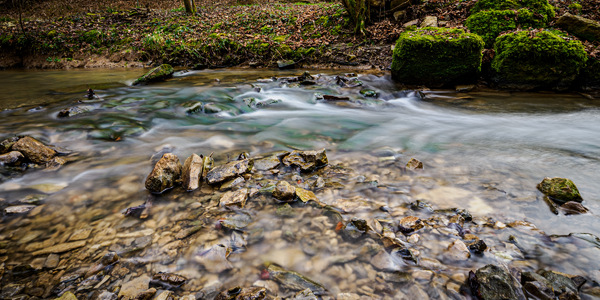 Alles im Fluss