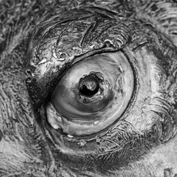 Im Auge des...