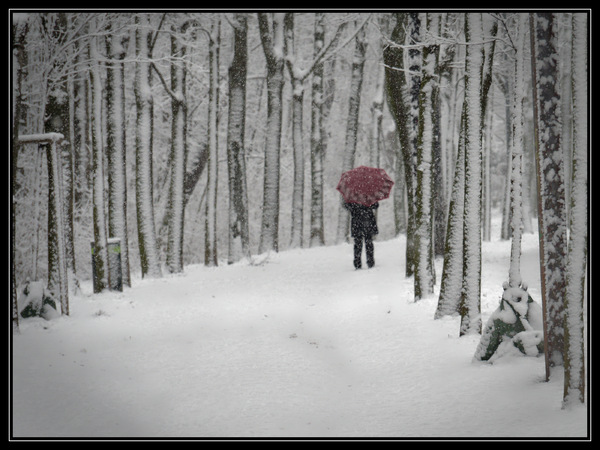 Red umbrella