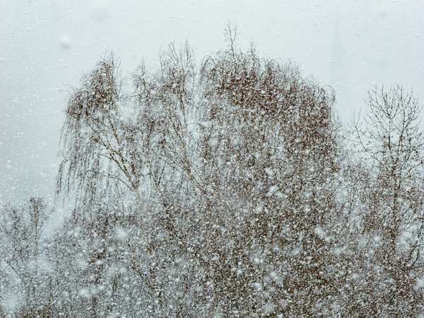 Schneeschauer