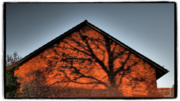 Schatten an der Wand😉 - P3292036.jpeg