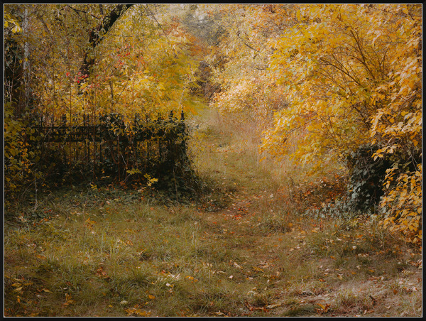 colors of autumn