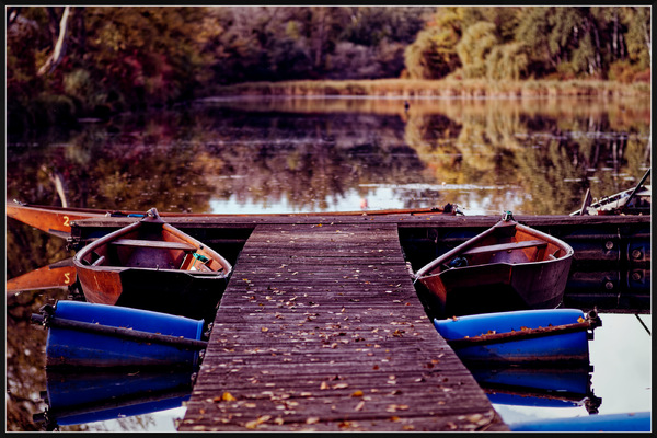 late fall #2