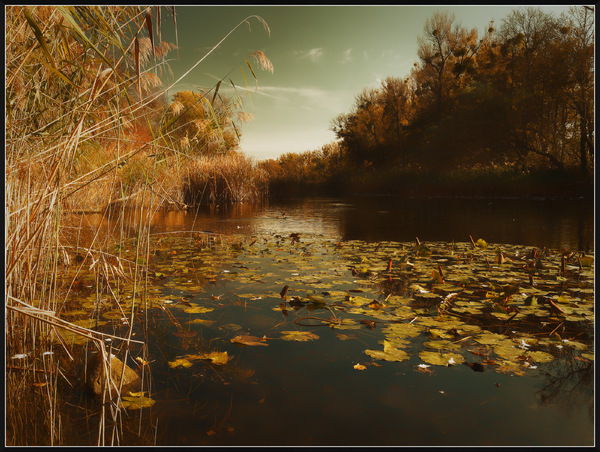 November