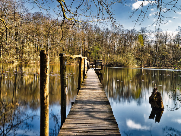 Steg am See.jpg