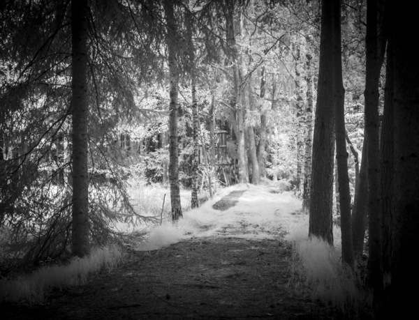 I´m on the "woodway" ,-)