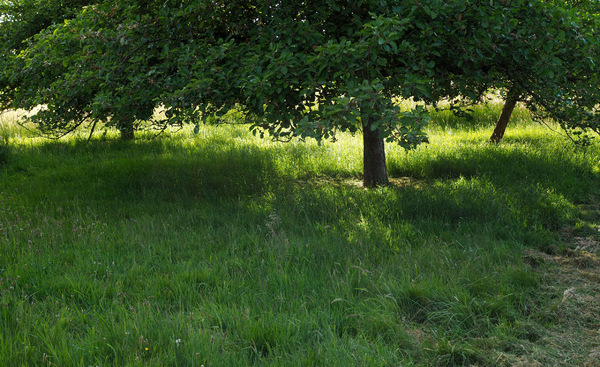 Sonne einfangen