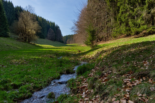 Im rechten Tammichgrund 2