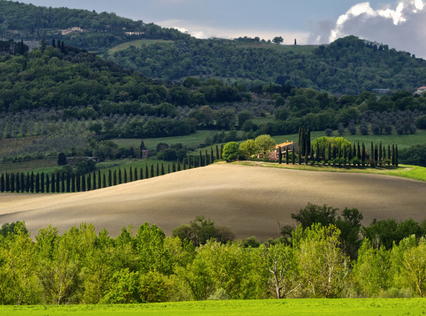 Im Val d'Orcia 1