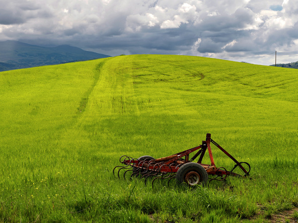 Im Val d'Orcia 2