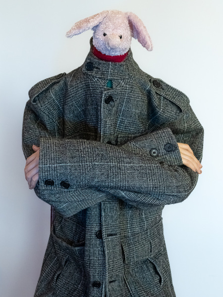 Fashion shot - incognito  ...