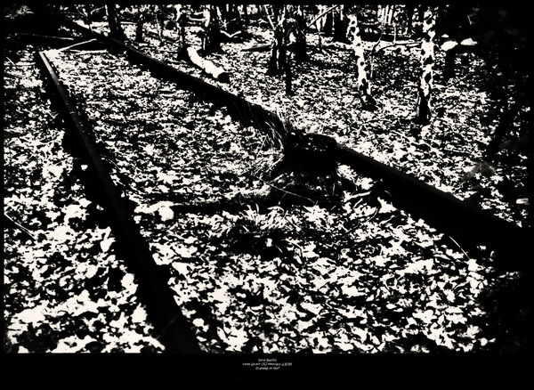 Film: Rückeroberung Nr.3