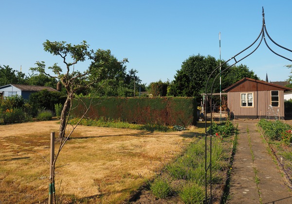 WT 26/27 Schrebergarten ohne Wasser ...