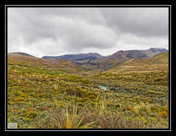 PA270200_Tongariro-Nationalparkk_NZ-_DxO.jpg