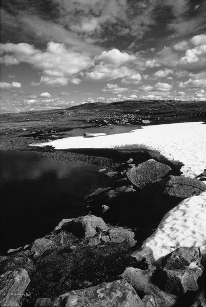 Norwegen 99: "Sommerschnee im Hochgebirge"
