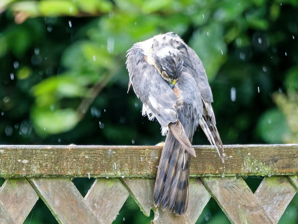 Wat für ein Schiedwetter...oder;.)