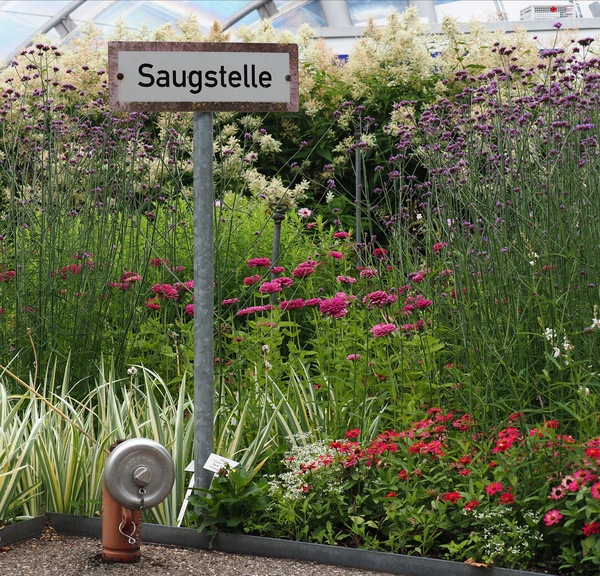 WT 28/29: Den Blumen scheint das Ansaugen zu gefallen ...