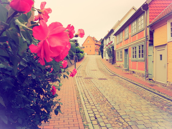 anno dazumal - durch die Blume