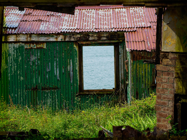 50 shades of green