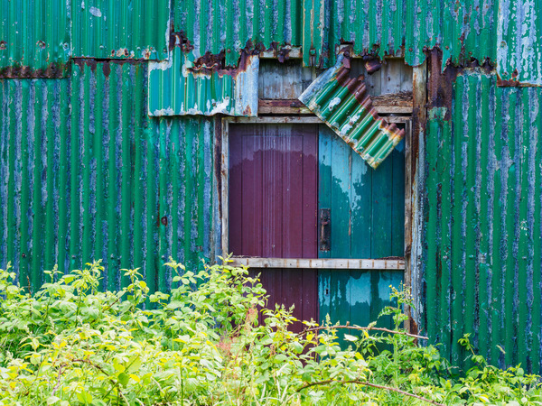 50 shades of green