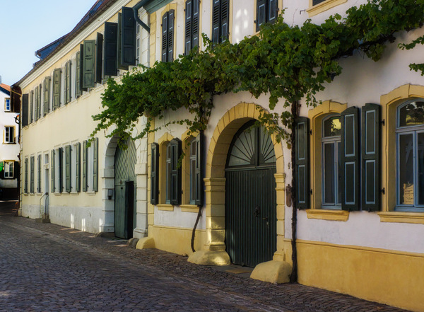 Alte Winzerhöfe in Freinsheim Pfalz