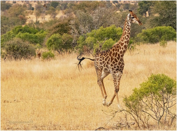 schnell weg hier....