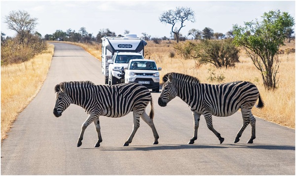 zebrastreifen ... :-)