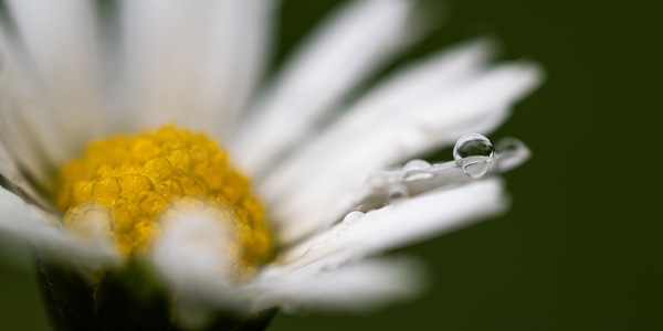 A little drop
