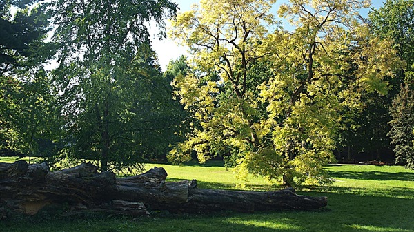 Herbst im Riesengebirge.JPG