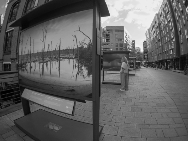 WT40/41-25: Fotokunst...